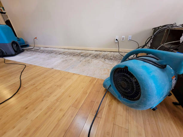 Professional Water Extraction technician working in Grandview, OH